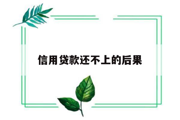 信用贷款还不上的后果