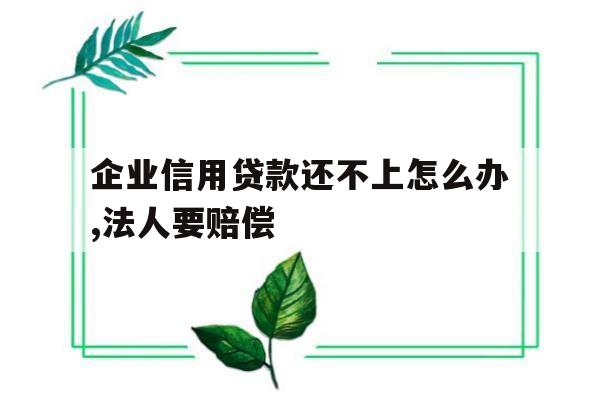 企业信用贷款还不上怎么办,法人要赔偿