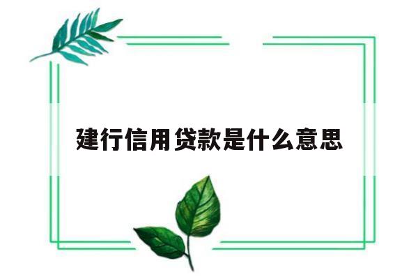 建行信用贷款是什么意思