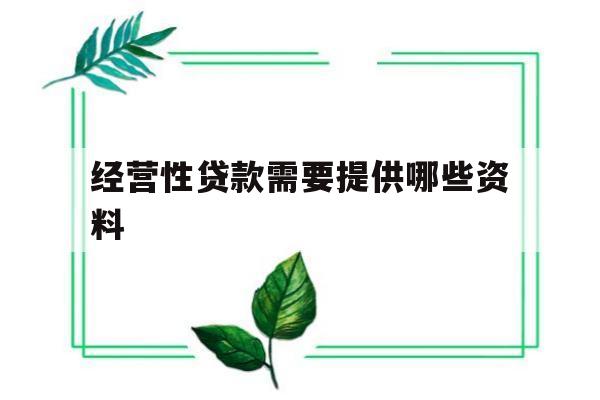 经营性贷款需要提供哪些资料