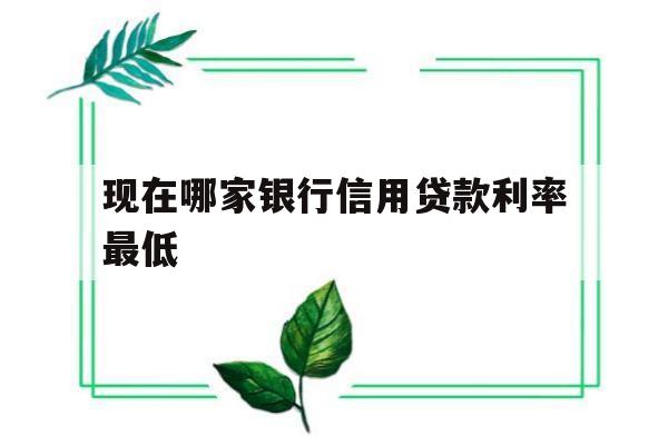 现在哪家银行信用贷款利率最低