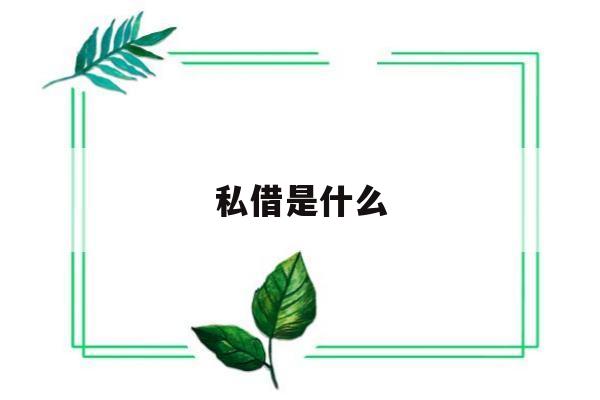 私借是什么