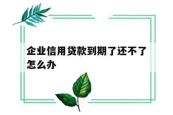 企业信用贷款到期了还不了怎么办