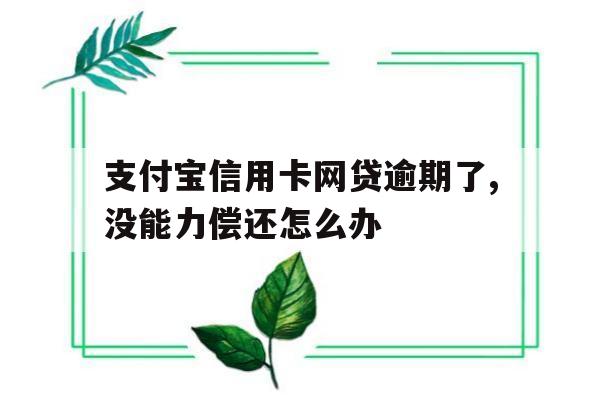 支付宝信用卡网贷逾期了,没能力偿还怎么办