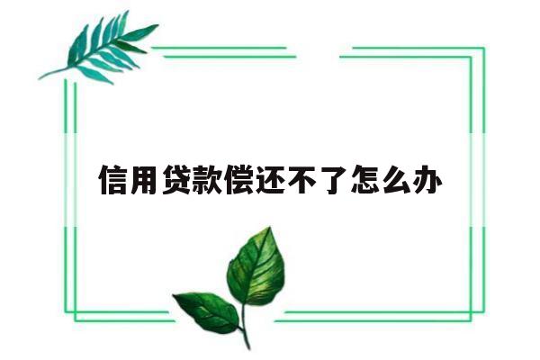 信用贷款偿还不了怎么办