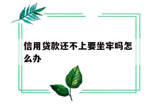 信用贷款还不上要坐牢吗怎么办