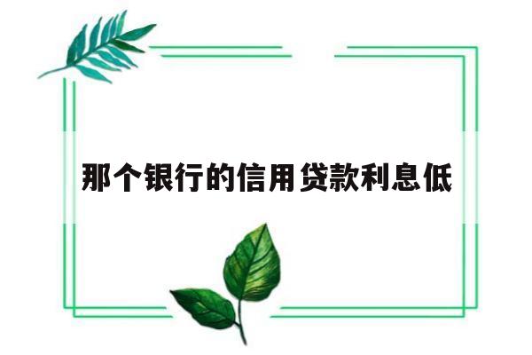 那个银行的信用贷款利息低