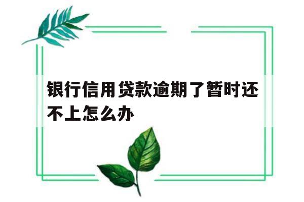 银行信用贷款逾期了暂时还不上怎么办