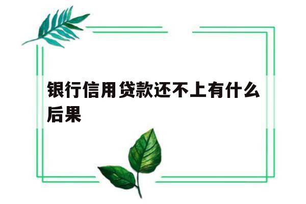 银行信用贷款还不上有什么后果