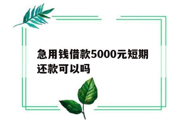 急用钱借款5000元短期还款可以吗