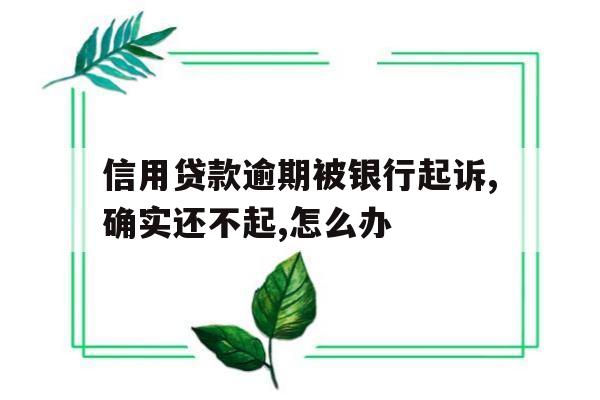 关于信用贷款逾期被银行起诉,确实还不起,怎么办的信息