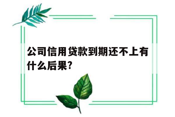 公司信用贷款到期还不上有什么后果?