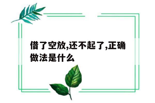 借了空放,还不起了,正确做法是什么