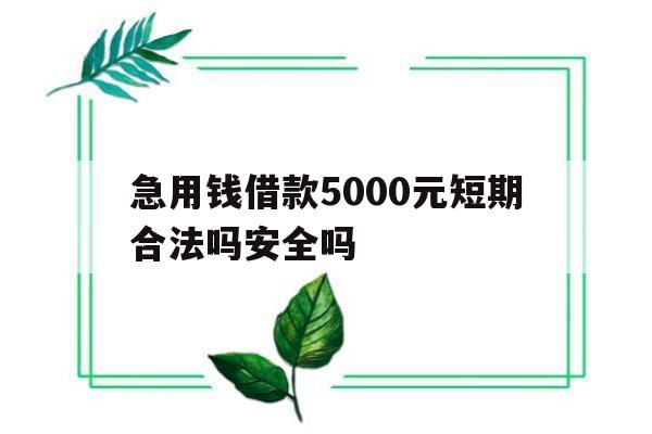 关于急用钱借款5000元短期合法吗安全吗的信息