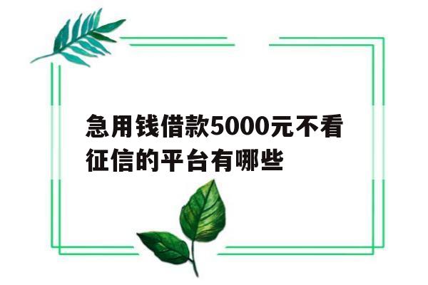 急用钱借款5000元不看征信的平台有哪些