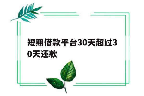 短期借款平台30天超过30天还款