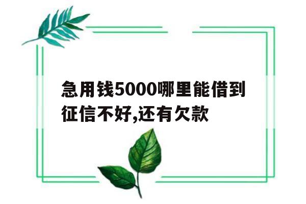 包含急用钱5000哪里能借到征信不好,还有欠款的词条