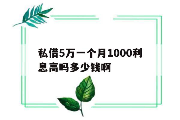 私借5万一个月1000利息高吗多少钱啊