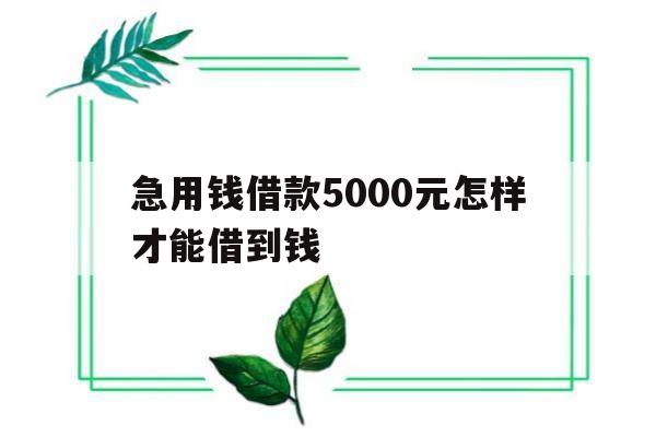 关于急用钱借款5000元怎样才能借到钱的信息