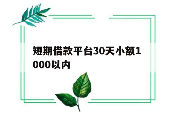 关于短期借款平台30天小额1000以内的信息