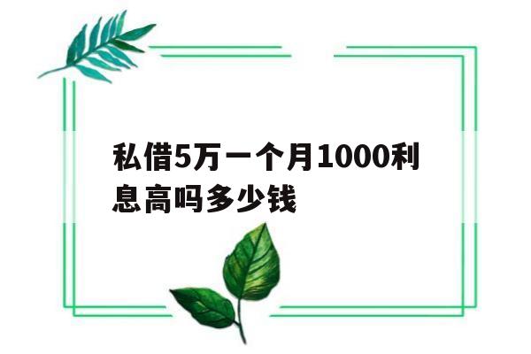 私借5万一个月1000利息高吗多少钱的简单介绍