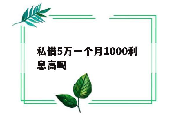 私借5万一个月1000利息高吗