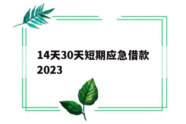 14天30天短期应急借款2023