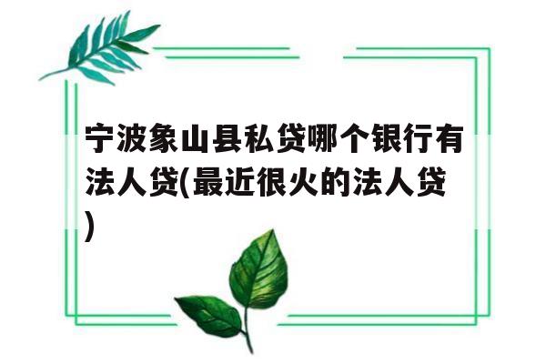 宁波象山县私贷哪个银行有法人贷(最近很火的法人贷)