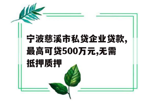 宁波慈溪市私贷企业贷款,最高可贷500万元,无需抵押质押