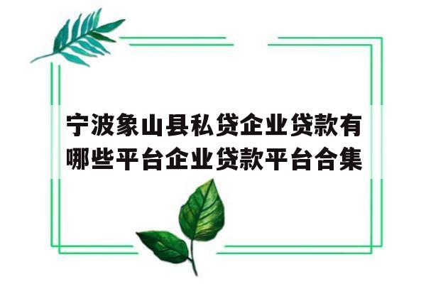 宁波象山县私贷企业贷款有哪些平台企业贷款平台合集