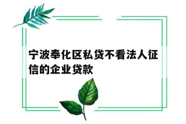 宁波奉化区私贷不看法人征信的企业贷款