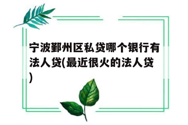 宁波鄞州区私贷哪个银行有法人贷(最近很火的法人贷)