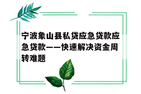 宁波象山县私贷应急贷款应急贷款——快速解决资金周转难题