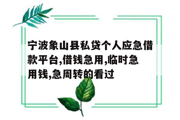 宁波象山县私贷个人应急借款平台,借钱急用,临时急用钱,急周转的看过