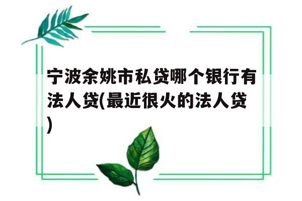 宁波余姚市私贷哪个银行有法人贷(最近很火的法人贷)