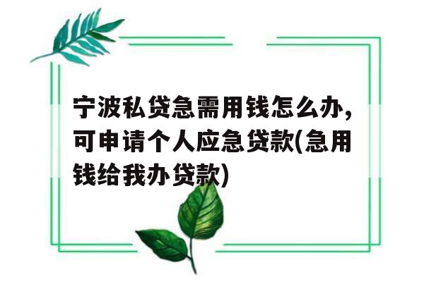 宁波私贷急需用钱怎么办,可申请个人应急贷款(急用钱给我办贷款)