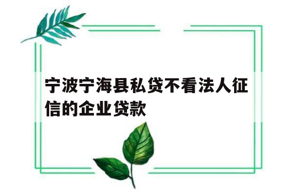 宁波宁海县私贷不看法人征信的企业贷款