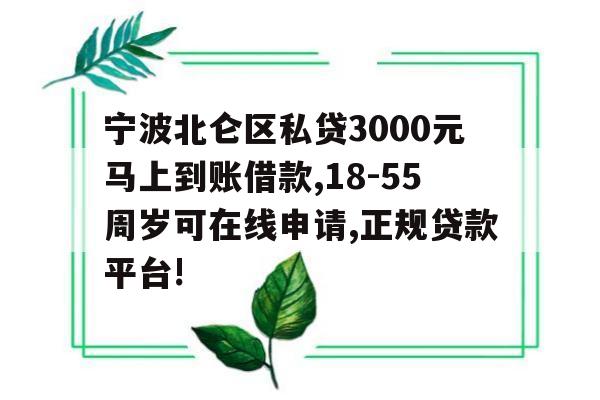 宁波北仑区私贷3000元马上到账借款,18-55周岁可在线申请,正规贷款平台!