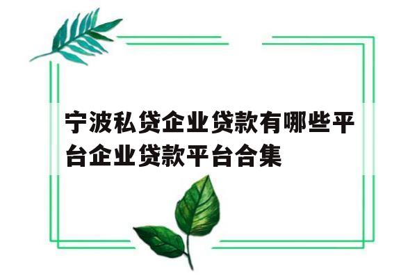 宁波私贷企业贷款有哪些平台企业贷款平台合集