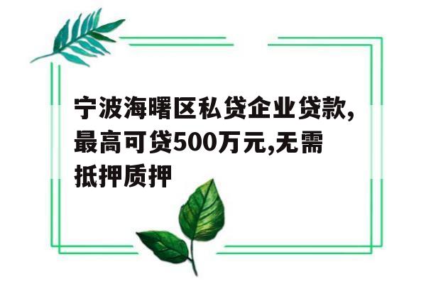 宁波海曙区私贷企业贷款,最高可贷500万元,无需抵押质押