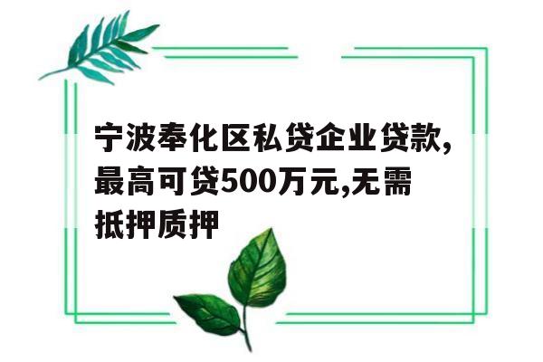 宁波奉化区私贷企业贷款,最高可贷500万元,无需抵押质押