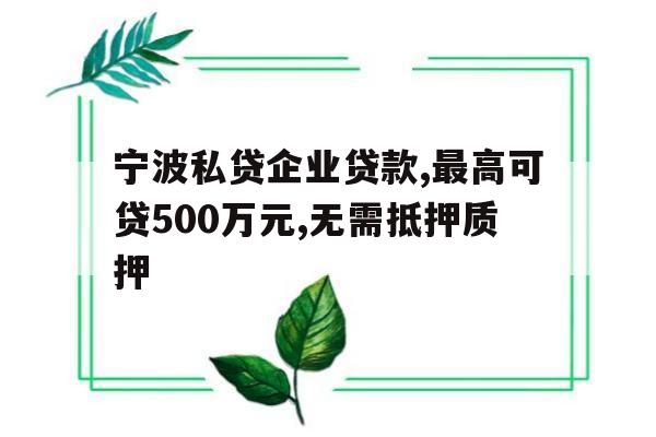 宁波私贷企业贷款,最高可贷500万元,无需抵押质押