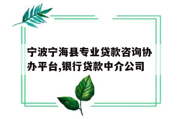 宁波宁海县专业贷款咨询协办平台,银行贷款中介公司