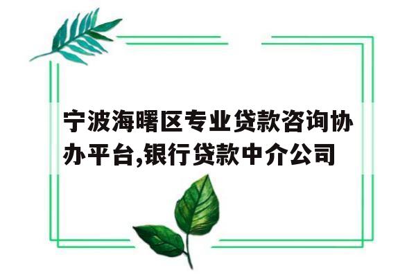 宁波海曙区专业贷款咨询协办平台,银行贷款中介公司