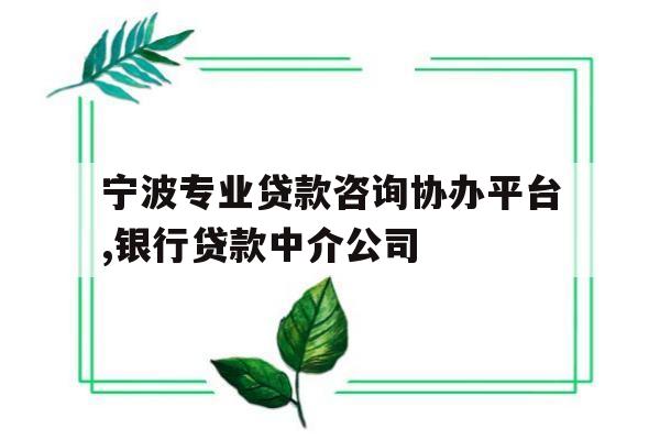 宁波专业贷款咨询协办平台,银行贷款中介公司